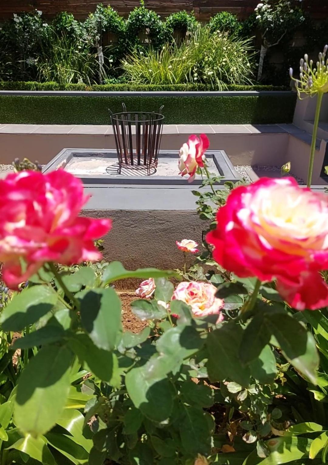 Bella Rosa Bed and Breakfast Potchefstroom Eksteriør billede